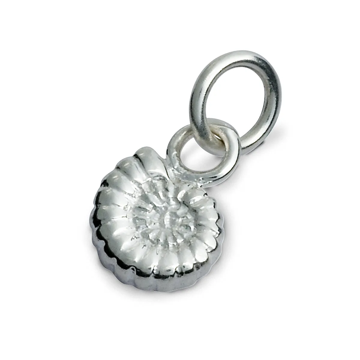 Ammonite Fossil Silver Charm