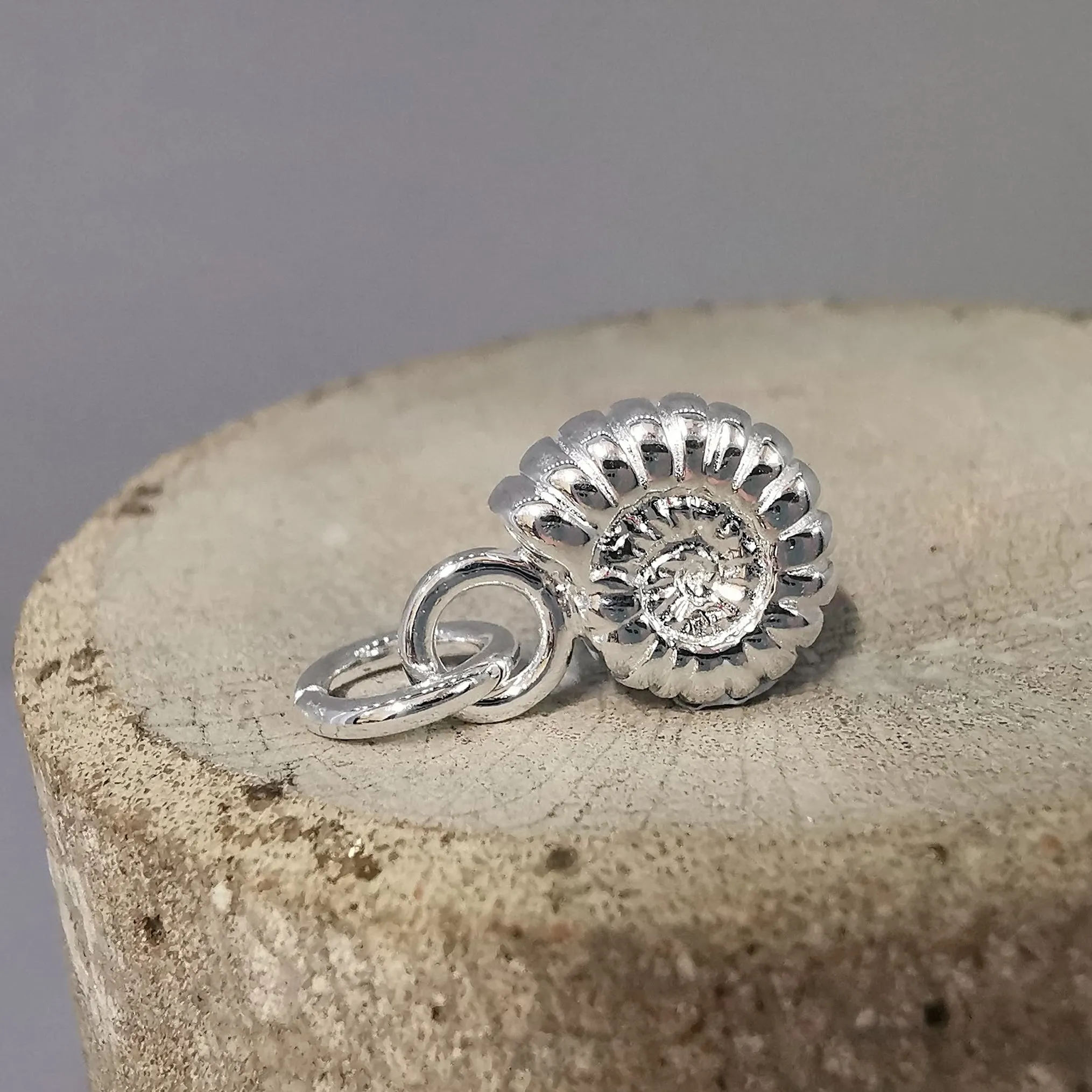 Ammonite Fossil Silver Charm