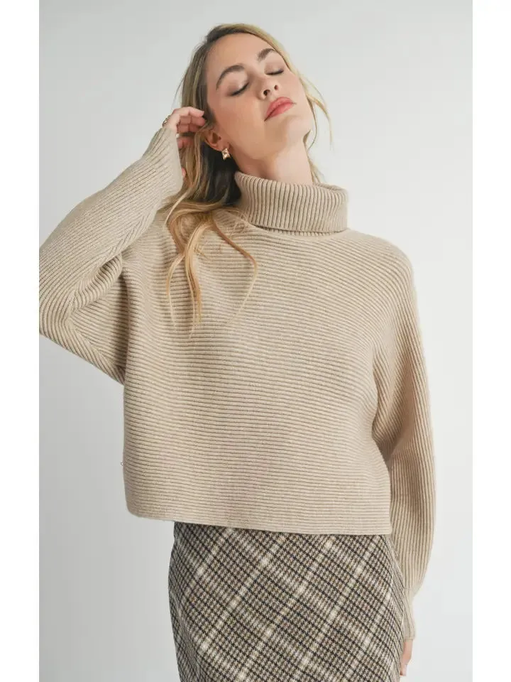 ANYA TURTLENECK DOLMAN SWEATER