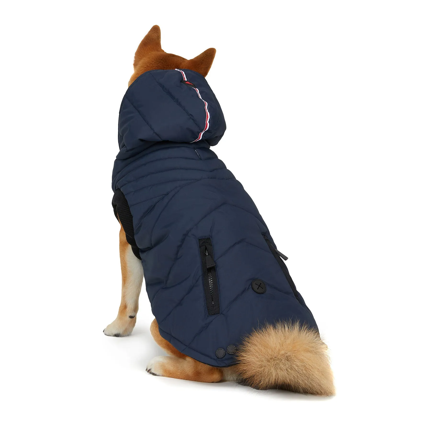 Birch Jacket for Dogs