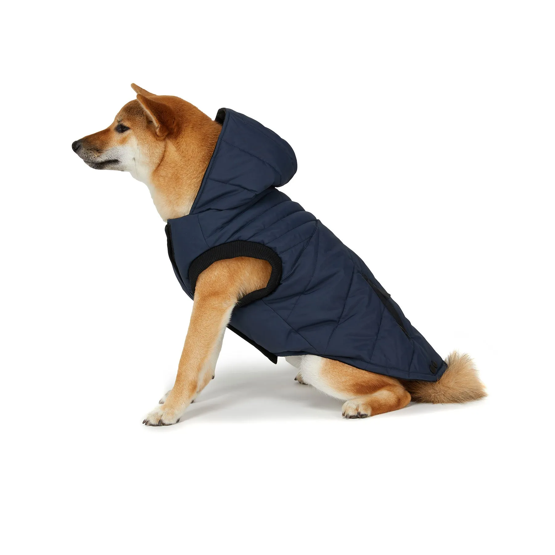 Birch Jacket for Dogs