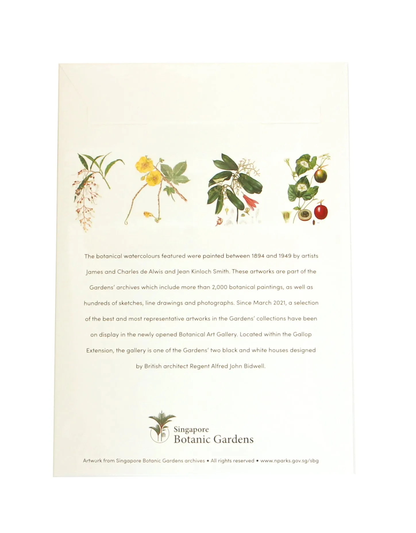 Botanical Illustrations Notecard