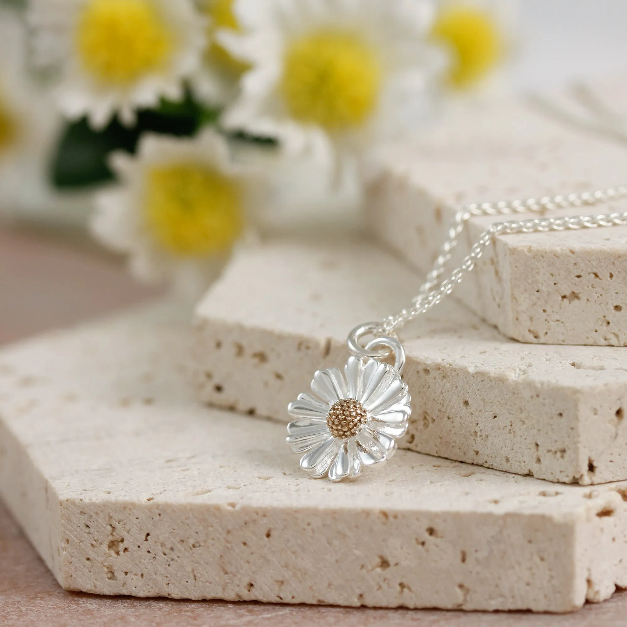 Daisy Silver & Solid Gold Necklace