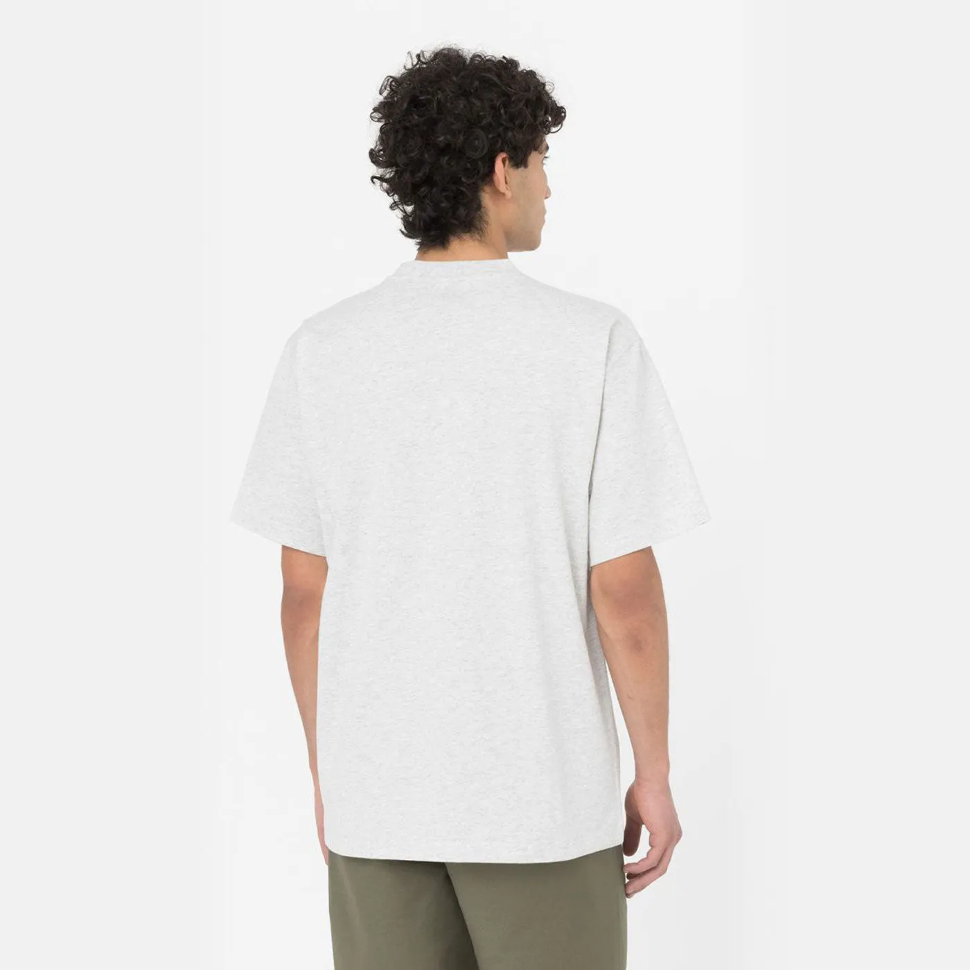 Dickies T-Shirt Summerdale Light Grey