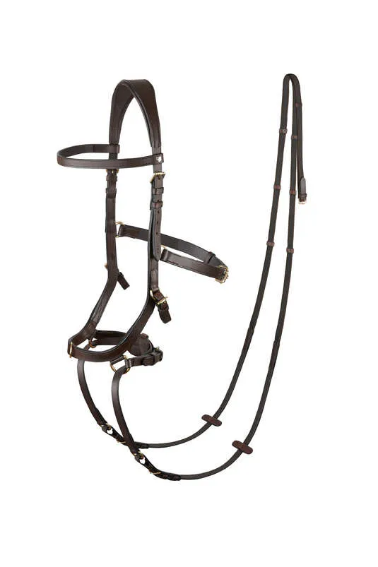 Horze Orlando Combined Bitless Bridle