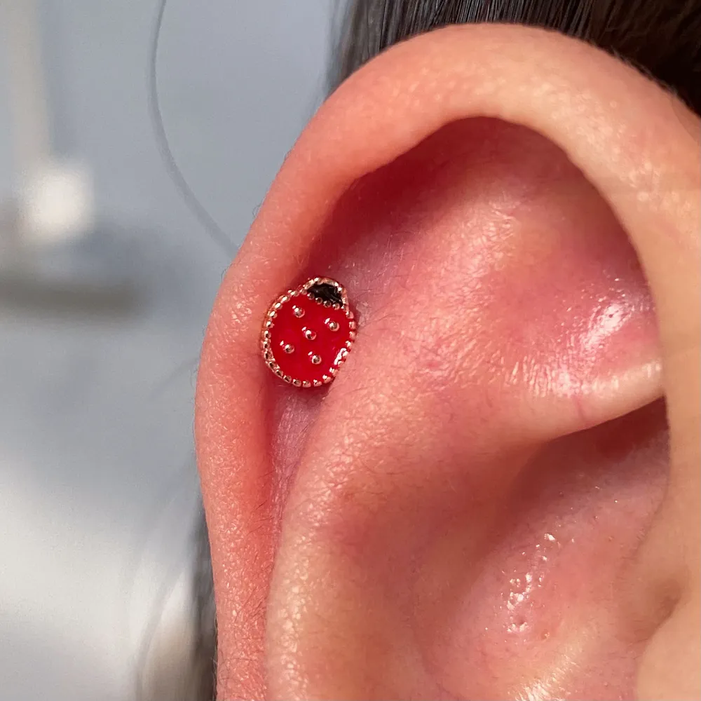 Ladybird Stud