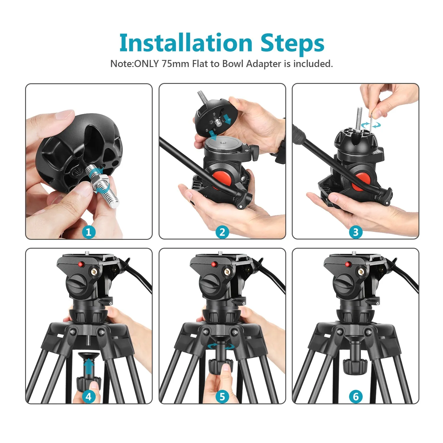 NEEWER 75mm Bowl Adapter