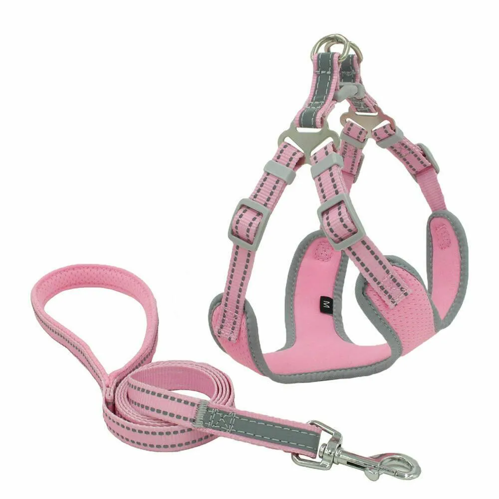 PETLAVISH™ Reflective No-Pull Dog Harness Leash: Adjustable, Soft, Breathable Control Vest XS-Large